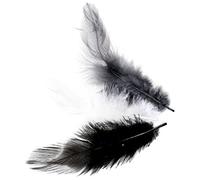GLOREX Plumes, multicolore, 20,5 x 8,5 x 0,3 cm