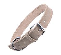 Collier pour Chien Gloria Oasis Blanc (1,5 x 40 cm)