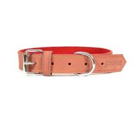 Gloria Collier pour chien Oasis en cuir nubuck rouge 1,5 x 40 cm