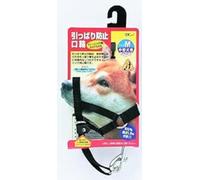 GLORIA Formation Muselière