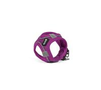 Gloria Harnais pour Chien Trek Star 27-28 cm 31-34,6 cm Violet XS
