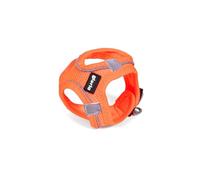 Gloria Harnais pour chien Trek Star 29,4-32,6 cm 41,4-43 cm Orange S