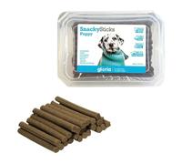 GLORIA pour Chien