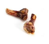 GLORIA pour Chien