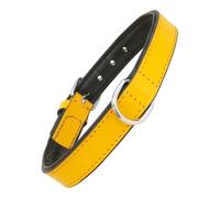 Collier pour Chien Gloria Rembourré Jaune (30 x 1,5 cm)