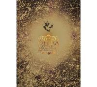 Gloria Tour-Grand Finale-Live [Import allemand]