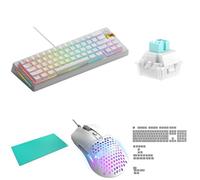 GLORIOUS Bundle of GMMK 3 HE 65% Barebones US Blanc, Switchs Lynx HE, Touches Polychroma QWERTY, Souris Model O Eternal Blanche et Tapis XL Rainforest