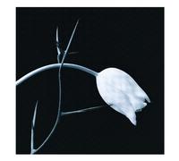 Astor Piazzolla Vol. 2 : El Tango Kremer, Violon