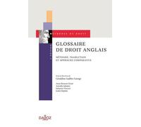 Glossaire De Droit Anglais - Méthode, Traduction Et Approche Comparative
