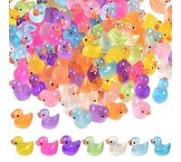 Glow in The Dark Ducks, 100pcs Mini Duck Ducks Resin Animaux pour Le Jardin Patio Porte de pêche Plans en Pot Plantes Micro Landscape Accessoires minuscules, Mini-résine Animaux, Figures