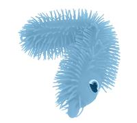 Glow Worm Fidget Toy, jouet chenille lumineux pour soulager l'anxiété et le stress, chenille en caoutchouc thermoplastique de 20 pouces pour adultes, adolescents et enfants, couleur aléatoire