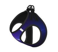 Glowing Icebergs Harnais pour chien avec sangles réfléchissantes et boucles à dégagement rapide Convient aux petits chats et chiens