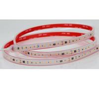 Glowster Bande LED flexible IP67 17 W/MT 6 500 K 230 V 12 x 4 mm 120 LED/MT - Éclairage décoratif et fonctionnel pour l'extérieur et les pièces humides.