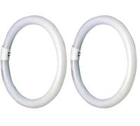 Glowster Tube fluorescent circulaire 22 W, haute efficacité énergétique, lumière vive, idéal pour l'éclairage des espaces commerciaux et domestiques. (Lot de 2)