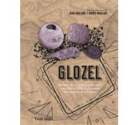 Glozel Résultats des recherches effectuées entre 1983 et 1990 à la demande du ministère de la Culture - Jean Guilaine - U.blaise Pascal Clermont-Ferrand - broché - Etude