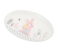 GLSTOY Assiette en Céramique Décorative à Motif Lapin, Pratique et Originale, Maison et Pâques, Couleurs Variées et Design Unique pour Présentation de Salade de Fruits