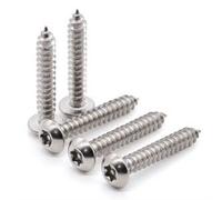 Glvaner Lot de 100 vis à tôle de sécurité Torx M4 x 10 mm en acier inoxydable 304 18-8 inviolables autotaraudeuses anti-vol, vis à bois avec embout T20