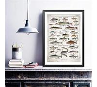GLWDMB Affiche de poisson Vintage de poissons d'eau douce, tableau d'art mural de bureau, peinture sur toile imprimée, décor mural sans cadre, 1 Pièce
