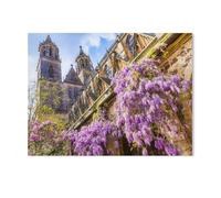 Glycine en Fleurs dans la crypte de la cathédrale de Magdebourg,for Children 1000 Pieces Papier Puzzle Jigsaws, DIY Casual Puzzles Toys, for Adults and Teenagers Unique Gifts Toys(50x70cm)-AD58