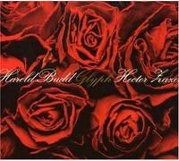 Glyph by Harold Budd & Hector Zazou (2006-09-12)