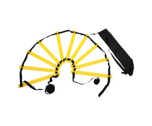 GMBYLBY Échelle d ' agilité, Ensemble d ' entraînement de Vitesse, échelles d ' Exercice pour Le Football, Jeux de Jambes, échelle d ' entraînement Sportif avec de Transport
