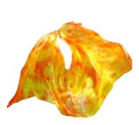 GMGQJST Voile Danse Orientale Voiles de danse du ventre en soie véritable, teints à la main, accessoires de scène, écharpe, châle, voiles.(Color 24-dz,M- 250X114cm)