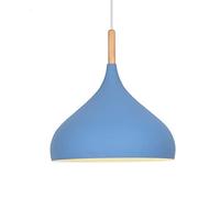 GMJGCIRVC Chandelier Restaurant Plafond Light Shade LED Single Head Pendante Pendre Cuisine îlot de cuisine Hanging Lights Ménage Europe Chandelier pour salon