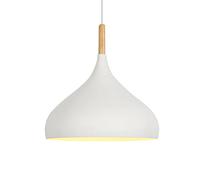 GMJGCIRVC Chandelier Restaurant Plafond Light Shade LED Single Head Pendante Pendre Cuisine îlot de cuisine Hanging Lights Ménage Europe Chandelier pour salon