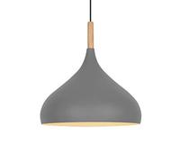 GMJGCIRVC Chandelier Restaurant Plafond Light Shade LED Single Head Pendante Pendre Cuisine îlot de cuisine Hanging Lights Ménage Europe Chandelier pour salon