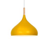 GMJGCIRVC Chandelier Restaurant Plafond Light Shade LED Single Head Pendante Pendre Cuisine îlot de cuisine Hanging Lights Ménage Europe Chandelier pour salon