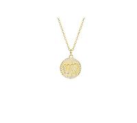 GMJGCIRVC Zodiac 12 Constellation signe collier, pièce ronde de luxe Chaîne de clavicule, femmes/hommes Horoscope astrologie céleste ensemble dames mode bijoux anniversaire cadeau ui