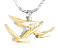 GMLRTOSPT Collier commémoratif en Acier Inoxydable pour Cendres, Pendentif Souvenir, Porte-Cendres, Argent et Or