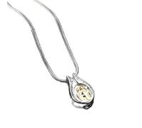 GMLRTOSPT Collier Ovale pour Homme et Femme, Pendentif urne funéraire, Bijou de crémation, Souvenir des Cendres-1