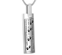 GMLRTOSPT Collier Pendentif commémoratif Durable pour Cendres d'animaux de Compagnie, Motif Empreinte de Patte, Souvenir pour Chien/Chat, Souvenir éternel, Argent