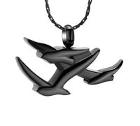 GMLRTOSPT Collier Pendentif commémoratif en Acier Inoxydable pour Cendres, Motif Avion, Noir