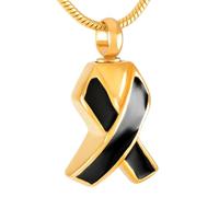 GMLRTOSPT Collier Pendentif Ruban coloré, urne funéraire, médaillon Souvenir pour contenir Les Cendres d'animaux Humains, Cadeaux pour Femmes et Filles-KKK_k