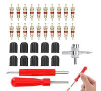 GNALIA Demonte Obus Valve 33 Pièces Rouge, Kit Complet Réparation Pneus Avec Extracteurs Double/Single Tête Et 20 Obus Valve 9.5X1.8X1Cm
