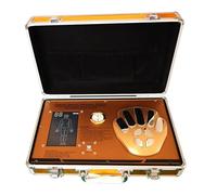 GNbow Analyseur Magnétique à Résonance Quantique, Test Professionnel Portable Rapide et Précis De la Santé Physique, Facile À Utiliser et À Transporter pour Les Maison, 53 Rapports