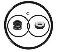 GnDaYoug PS-200 Kit de reconstruction de joint d'arbre et de joint torique pour pompes de piscine AquaFlo Flo-Master XP2 XP2E PS-200 Series - Comprend un joint torique Volute, un joint de pompe et un