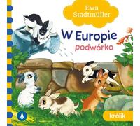 Gnome en Europe. Jardin. Lapin 77520