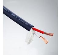 GO BEYOND YOURSEIF Câble D'alimentation Audiophile À 2 Cœurs 16 AWG, Câble Audio Professionnel En Cuivre Sans Oxygène HiFi 4N, Avec Gaine En PVC Flexible, For Son En Direct(30ft,2C-12A)