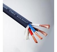 GO BEYOND YOURSEIF Câble Haut-parleur Professionnel 4 Conducteurs 12 Gauge 10 AWG, Cuivre Sans Oxygène 99,9% (OFC), Fil Audio UL Listed, Gaine PVC Flexible Pour Son Live Et Home Cinéma(100ft,4C-10A)
