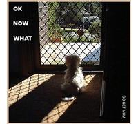 Go Get Mum - Ok Now What [Import]