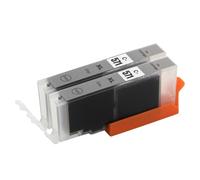 Go Inks 2 Cartouches d'encre Gris pour remplacer Canon CLI-571GY Compatible/Non-OEM pour PIXMA Imprimantes, C-571GY-2