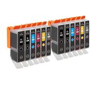 Go Inks 2 Ensemble de 6 Cartouches d'encre à remplacer Canon PGI-525 & CLI-526 Compatible/Non-OEM pour PIXMA Imprimantes (12 Encres)
