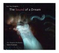 Go: Organic Orchestra et Adam Rudolph – Go: Organic Orchestra-Can You Imagine The Sound of A Dream