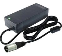 GO SOLID ! Chargeur adapté à la moto électrique Razor Rambler 16 (15173804)