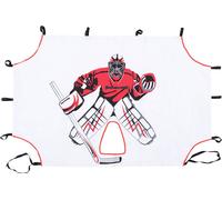 Goal Wall Torplane Shooterwand | Goalie Fabrik | 174x114cm | pour but de hockey sur glace