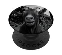 Goat Meme Country Humor Farm Chaos Scene Broken Barnyard PopSockets PopGrip Adhésif