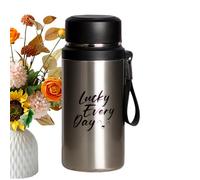 Gobelet isotherme | Tasse à thé isotherme en acier inoxydable 800 ml avec filtre à thé | Bouteille isotherme sous vide pour voiture, maison, studio, extérieur, fitness
